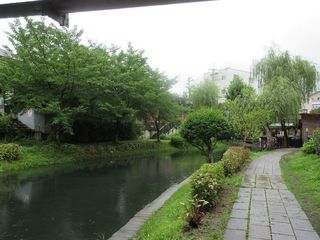 IMG_4939.jpg