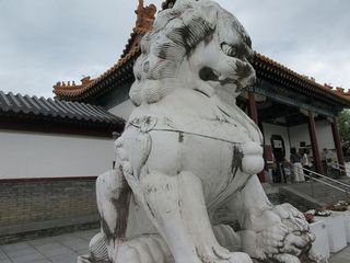 IMG_5233.jpg