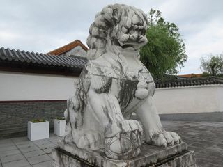 IMG_5234.jpg