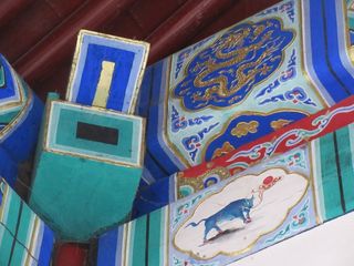 IMG_5264.jpg