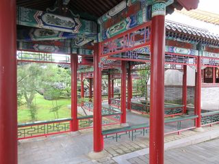 IMG_5273.jpg