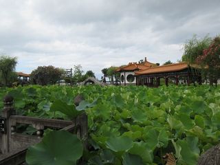 IMG_5286.jpg