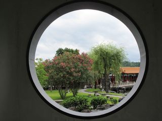IMG_5299.jpg