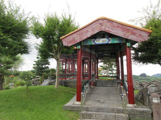 IMG_5330.jpg