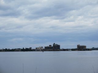 IMG_5334.jpg