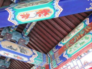 IMG_5335.jpg