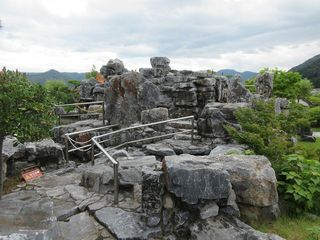 IMG_5351.jpg