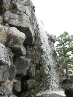 IMG_5359.jpg