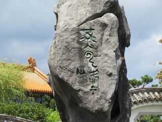 IMG_5378.jpg
