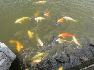 IMG_5398.jpg