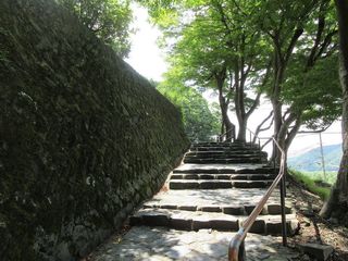 IMG_5527.jpg