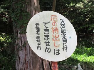 IMG_5531.jpg