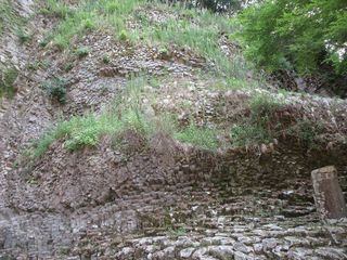 IMG_5539.jpg