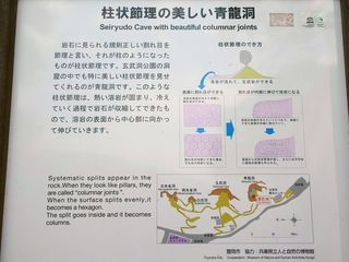 IMG_5545.jpg