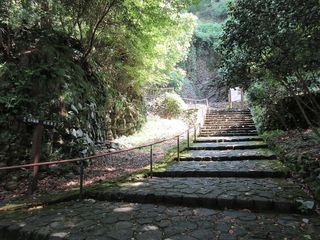 IMG_5554.jpg