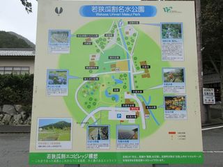 IMG_5603.jpg