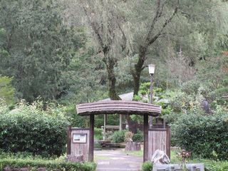 IMG_5609.jpg