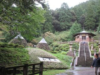 IMG_5622.jpg