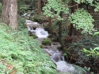 IMG_5625.jpg