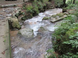 IMG_5634.jpg