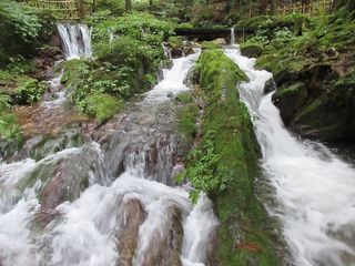 IMG_5635.jpg
