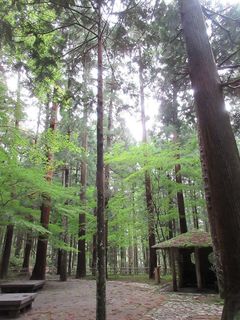 IMG_5638.jpg
