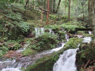 IMG_5640.jpg
