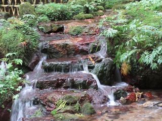 IMG_5643.jpg