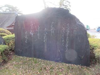 IMG_5679.jpg