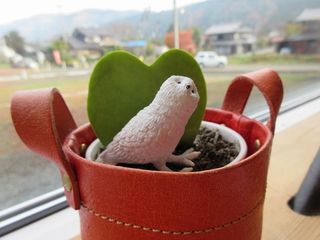 IMG_5731.jpg