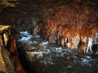 IMG_5752.jpg