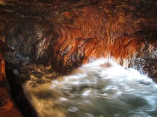 IMG_5753.jpg