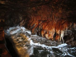 IMG_5754.jpg