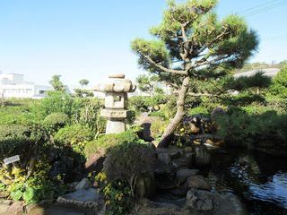 IMG_5776.jpg