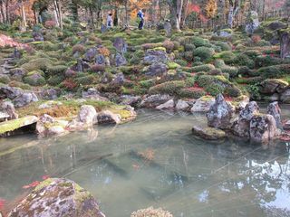 IMG_5784.jpg