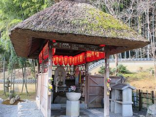 IMG_6073.jpg