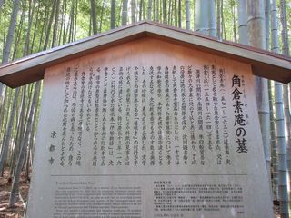IMG_6076.jpg