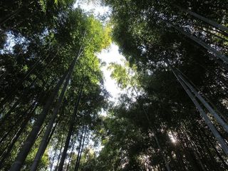IMG_6091.jpg