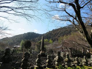 IMG_6100.jpg