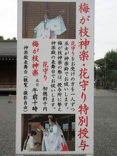 IMG_6120.jpg