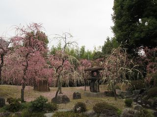 IMG_6149.jpg