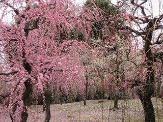 IMG_6157.jpg