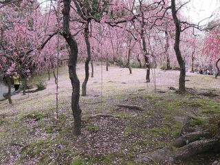 IMG_6160.jpg