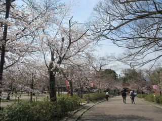 IMG_6397.jpg