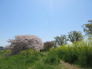 IMG_6472.jpg