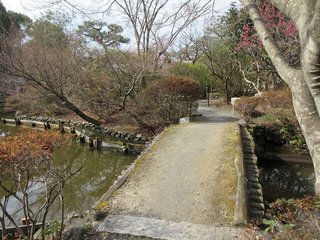IMG_6479.jpg