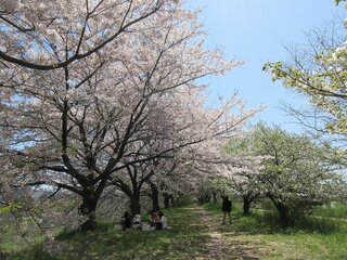 IMG_6481.jpg