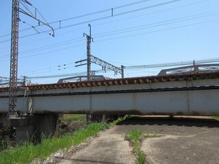 IMG_6485.jpg