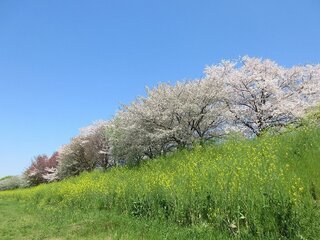IMG_6486.jpg