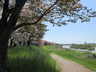 IMG_6490.jpg